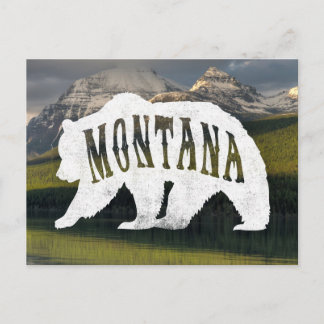 Cartão Postal Cartaz do urso Grizzly Montana