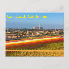Cartão Postal Cartaz dos campos de flores