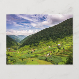 Cartão Postal Cartaz dos campos papais do Nepal