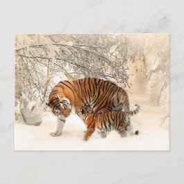 Cartão Postal Cartaz dos Tigres de inverno