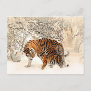 Cartão Postal Cartaz dos Tigres de inverno