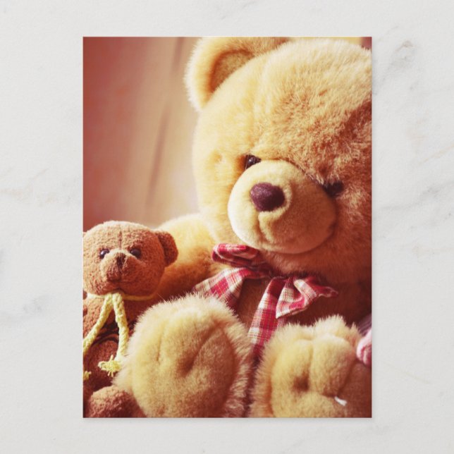 Cartão Postal Cartaz dos ursos (Frente)