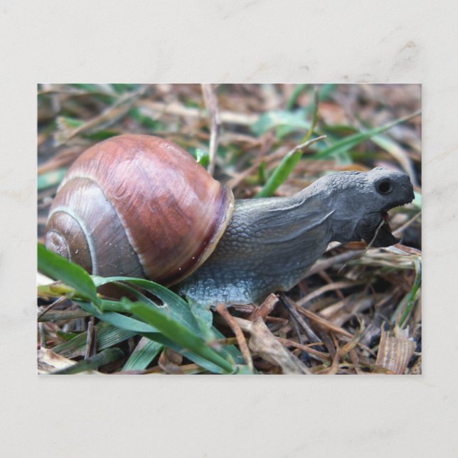 Cartão Postal Cartaz-feitiço (Frente)