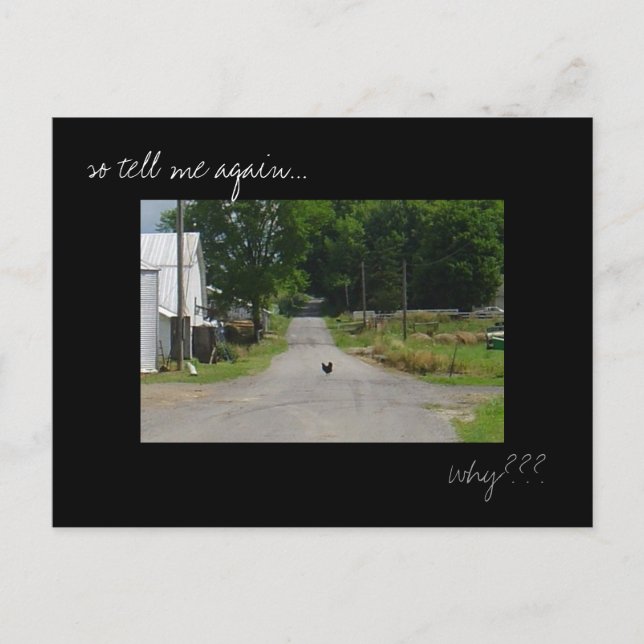 Cartão Postal Cartaz fotográfico "Chicken Crossing Road" (Frente)