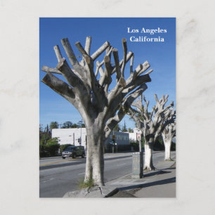 Cartão Postal Cartaz Funky Tree Los Angeles!
