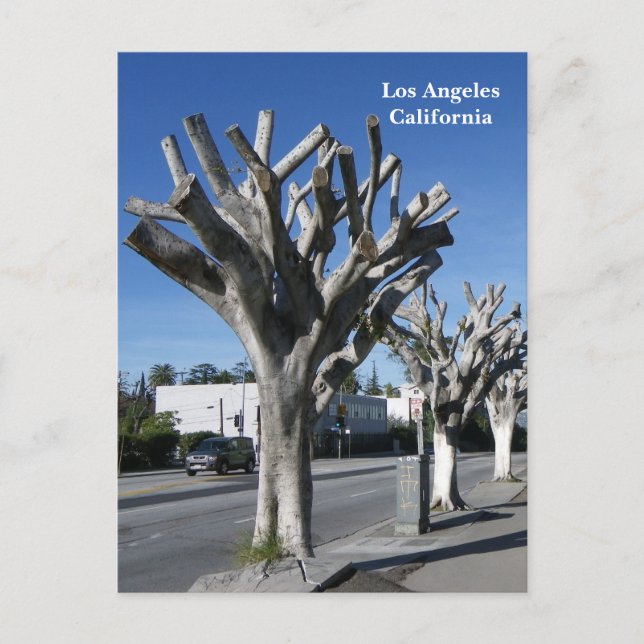 Cartão Postal Cartaz Funky Tree Los Angeles! (Frente)