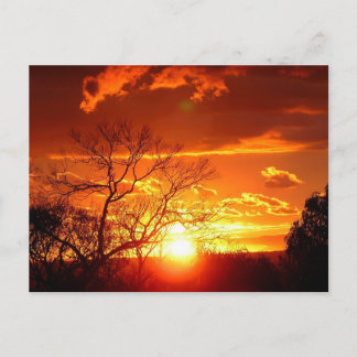Cartão Postal Cartaz Glória Sunset