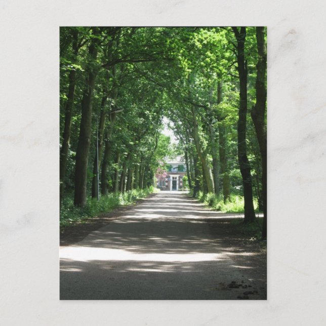 Cartão Postal Cartaz holandês em Forrest, na Holanda (Frente)