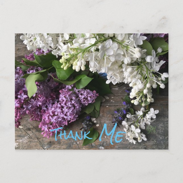 Cartão Postal Cartaz humorístico: Obrigado Lilac "ME" anota (Frente)