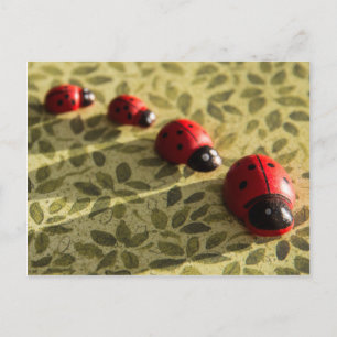 Cartão Postal Cartaz Ladybugs