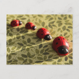 Cartão Postal Cartaz Ladybugs