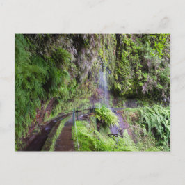 Cartão Postal Cartaz Madeira - Levada do Rei