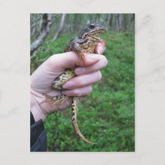 Cartão Postal Cartaz maravilhoso!