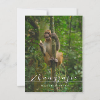 Cartão Postal Cartaz nacional do Parque Zhangjajie