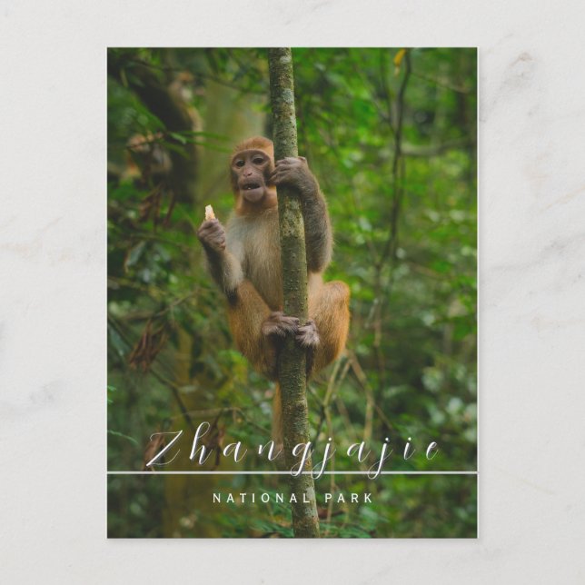 Cartão Postal Cartaz nacional do Parque Zhangjajie (Frente)