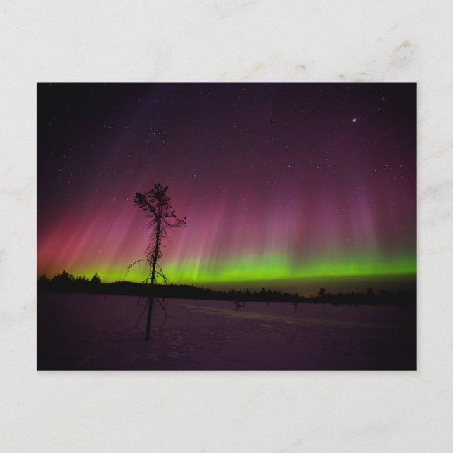 Cartão Postal Cartaz norte (Frente)