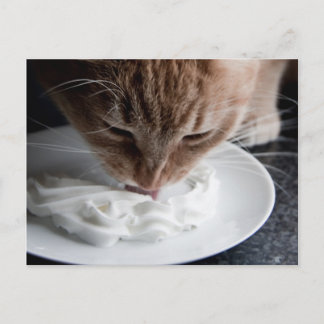 Cartão Postal Cartaz para gatos felizes