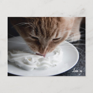 Cartão Postal Cartaz para gatos felizes