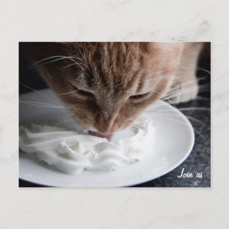 Cartão Postal Cartaz para gatos felizes