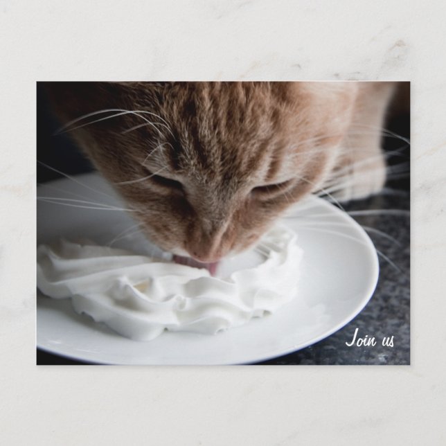 Cartão Postal Cartaz para gatos felizes (Frente)