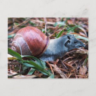 Cartão Postal Cartaz para unhas