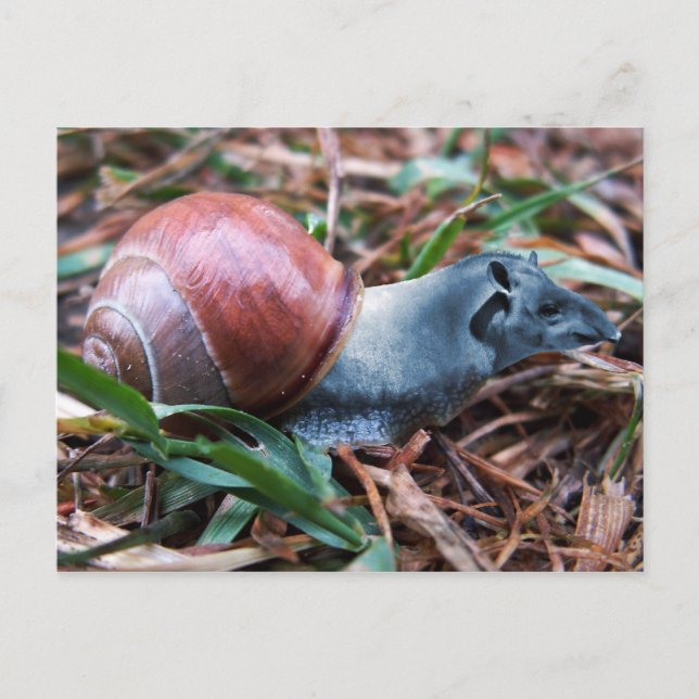 Cartão Postal Cartaz para unhas (Frente)