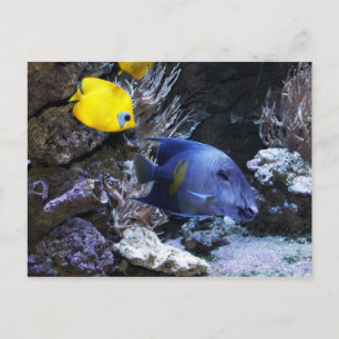 Cartão Postal Cartaz-postal