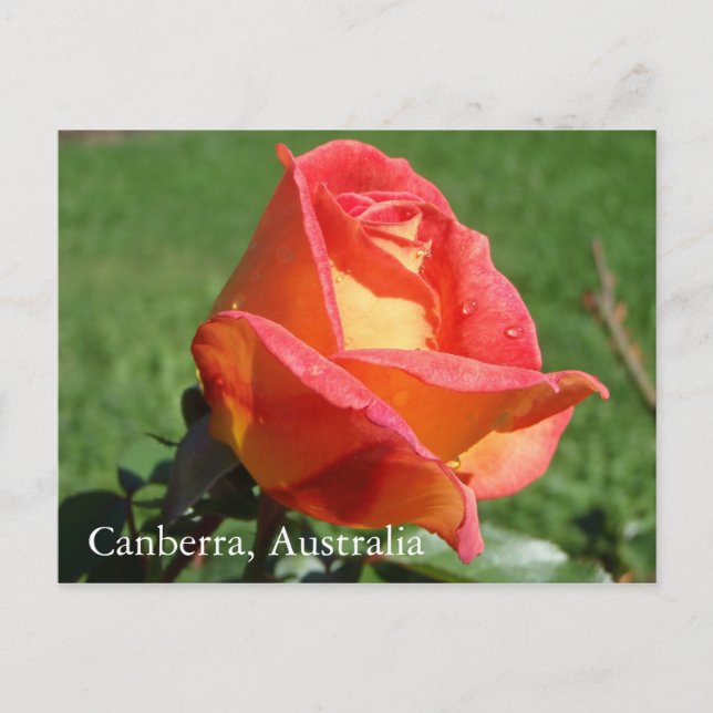 Cartão Postal Cartaz postal da Austrália (Frente)