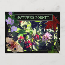 Cartaz-postal da Bounty Wild Berries