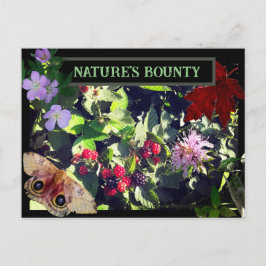 Cartão Postal Cartaz-postal da Bounty Wild Berries