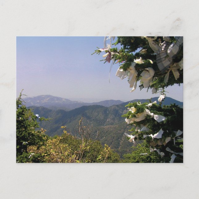 Cartão Postal Cartaz postal da rua Mary Troodos Mountain Cyprus (Frente)