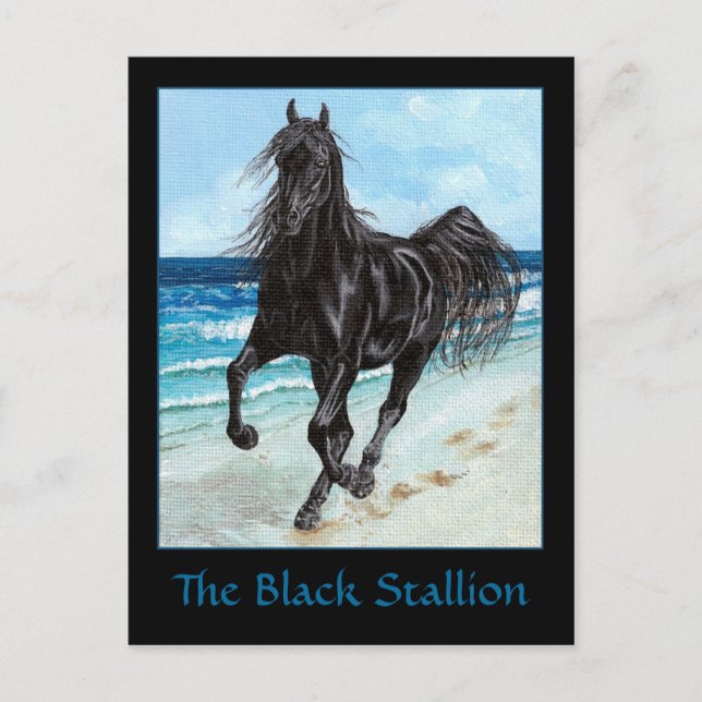 Cartão Postal Cartaz-postal de Black Stallion Arabe (Frente)