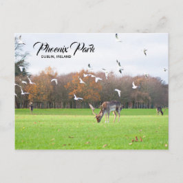 Cartão Postal Cartaz postal de Dublin em Phoenix Park