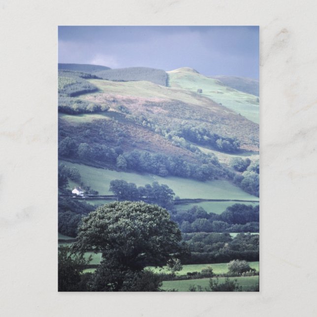 Cartão Postal Cartaz postal de Hillside no País de Gales (Reino  (Frente)