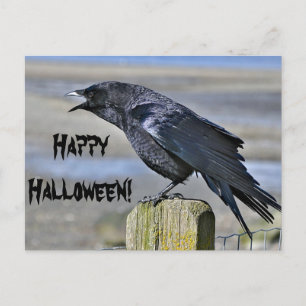Cartão Postal Cartaz preto de halloween