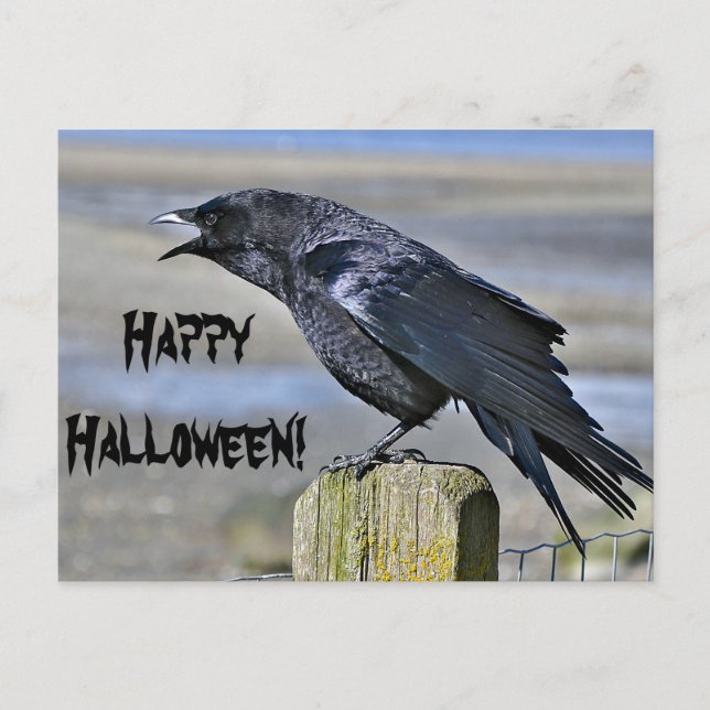 Cartão Postal Cartaz preto de halloween (Frente)