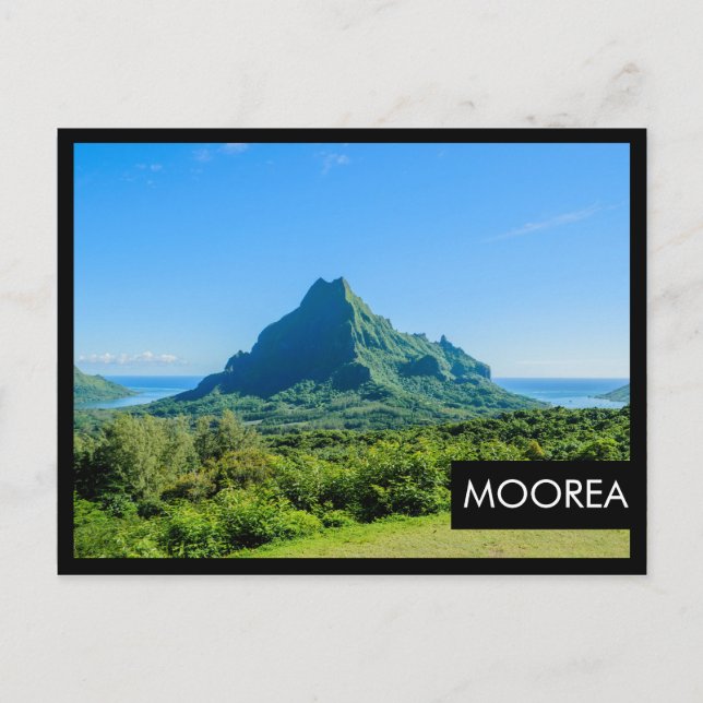 Cartão Postal Cartaz preto verde tropical Moorea (Frente)