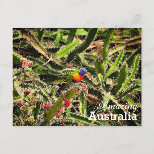 Cartão Postal Cartaz surpreendente na Austrália