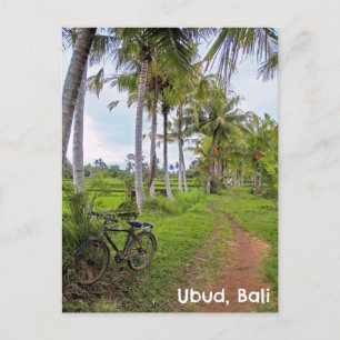 Cartão Postal Cartaz Ubud Bali, na Indonésia, campos de arroz