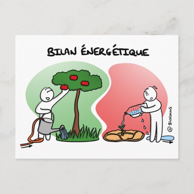 Cartão Postal Carte de Coaching "Faites votre Bilan Énergétique" (Frente)