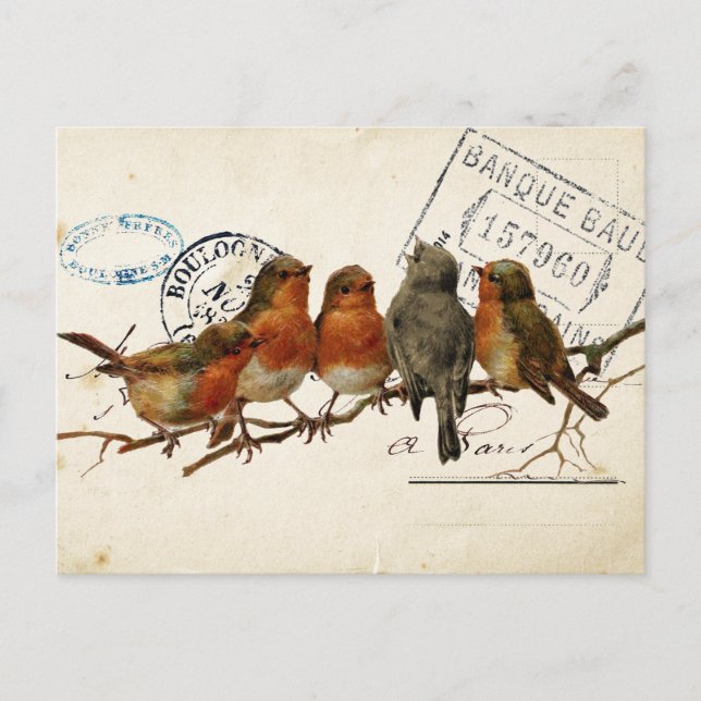 Cartão Postal Carte Postale Bird Set 3 de 4 (Robins europeus) (Frente)