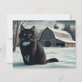 Cartão Postal Carte Postale Black Cat Série 2