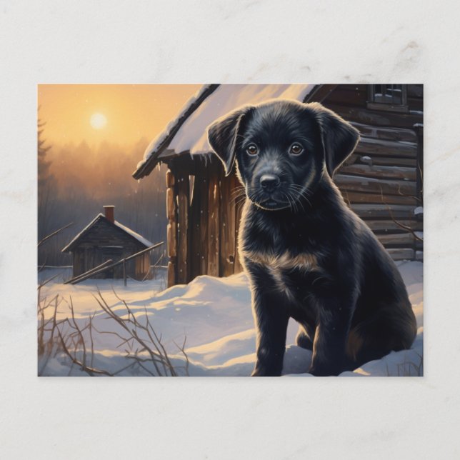 Cartão Postal Carte postale Chien 5-0 (Frente)