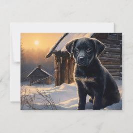 Cartão Postal Carte postale Chien 5-0