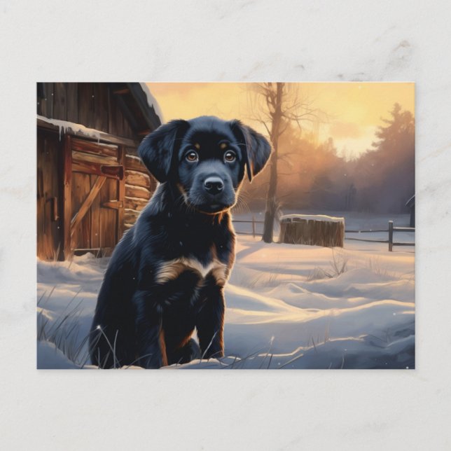 Cartão Postal Carte postale Chien 5-3 (Frente)