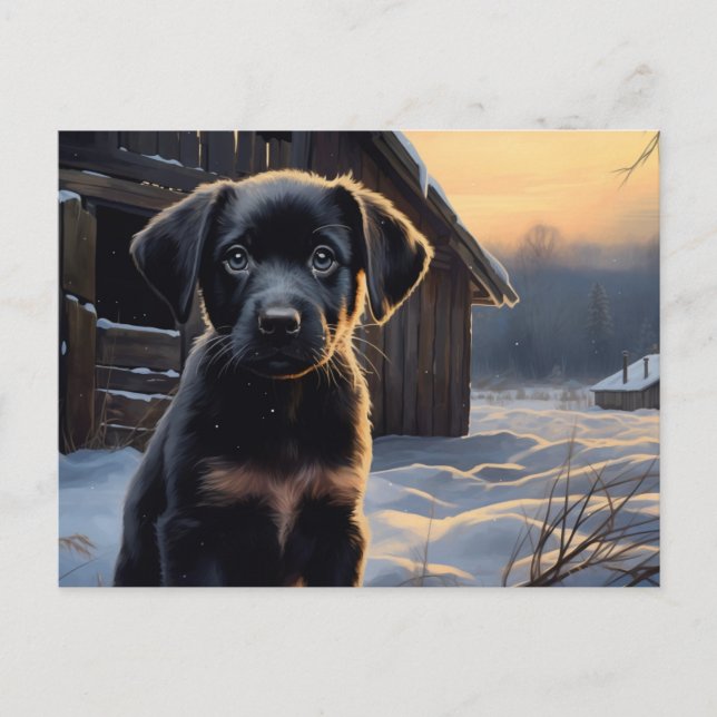 Cartão Postal Carte postale Chien 5-5 (Frente)