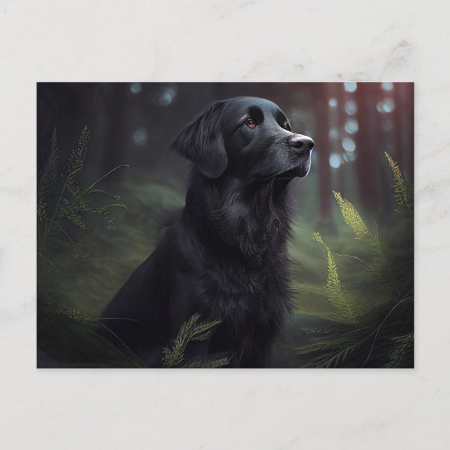 Cartão Postal Carte Postale Chien Divers (Frente)