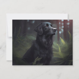 Cartão Postal Carte Postale Chien Divers