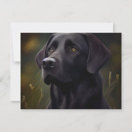 Cartão Postal Carte Postale Chien Divers