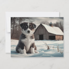 Cartão Postal Carte Postale Chien Série 6 01